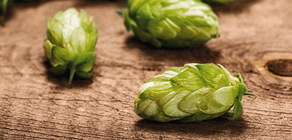 What hops are What hops are